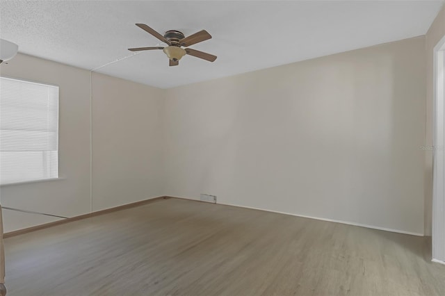 14317 Hanging Moss Cir Unit 202, Tampa, FL 33613 - photo 9