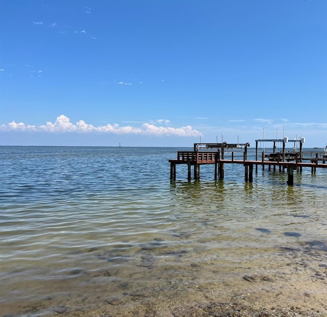 1727 New Hampshire Ave NE, Saint Petersburg, FL 33703 - photo 41