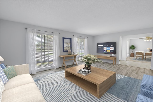living room featuring wood finished floors and a ceiling fan