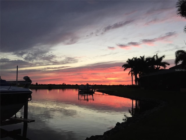 water view featuring a boat dock