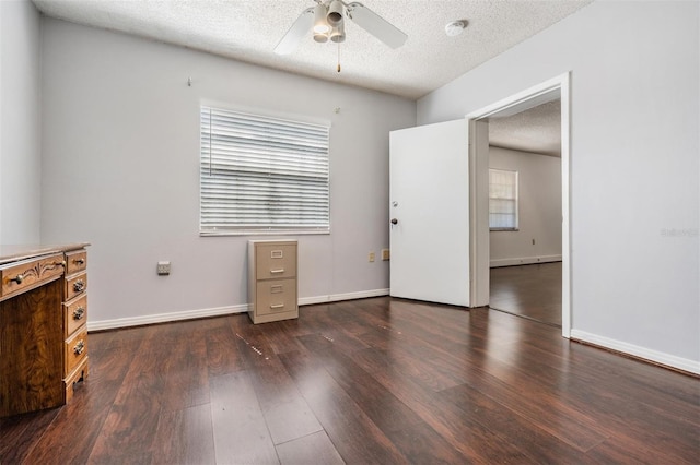 2111 W Grace St, Tampa, FL 33607 - photo 6