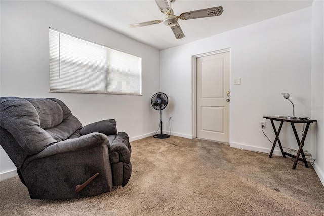 2111 W Grace St, Tampa, FL 33607 - photo 13