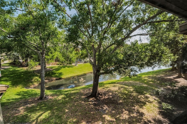 3079 Landmark Blvd Unit 1608, Palm Harbor, FL 34684 - view of grassy yard featuring a water view