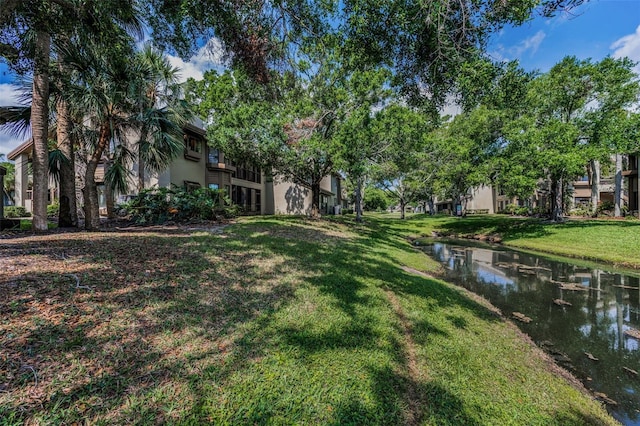 3079 Landmark Blvd Unit 1608, Palm Harbor, FL 34684 - view of green lawn featuring a water view
