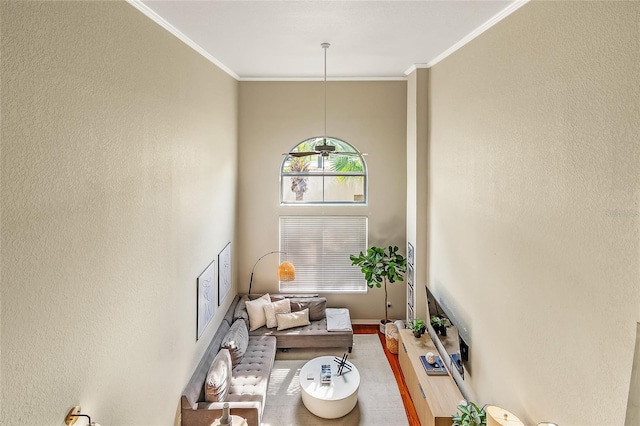 living area with ornamental molding, baseboards, and wood finished floors
