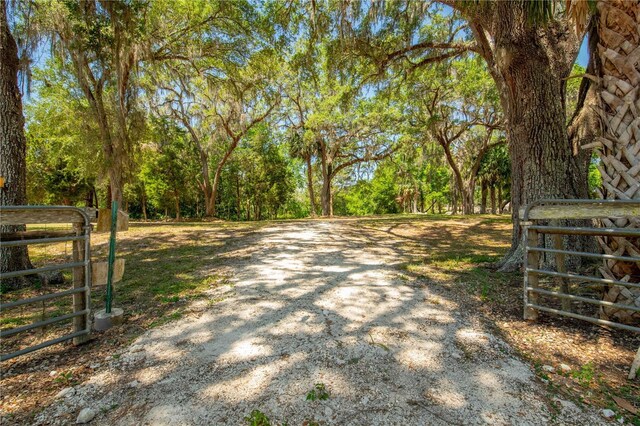 8800 S Steed Ter, Floral City, FL 34436