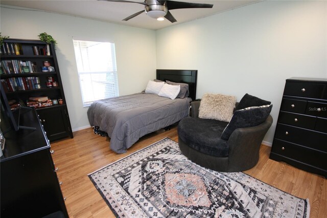 7334 Night Heron Dr, Land O Lakes, FL 34637 - photo 30
