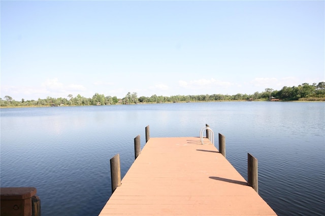 7334 Night Heron Dr, Land O Lakes, FL 34637 - photo 70