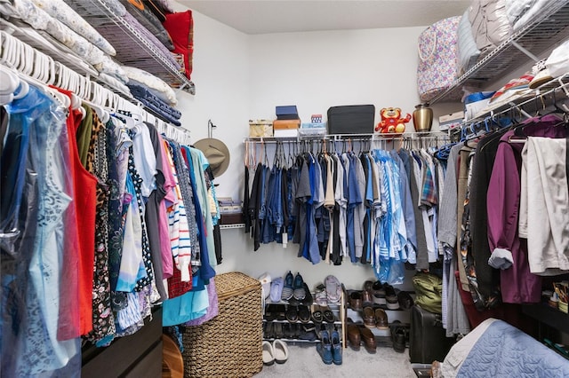 10626 Laguna Plains Dr, Riverview, FL 33578 - view of walk in closet