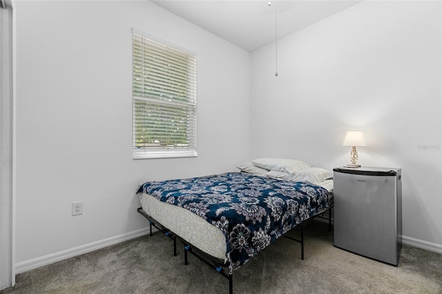 10626 Laguna Plains Dr, Riverview, FL 33578 - carpeted bedroom with baseboards