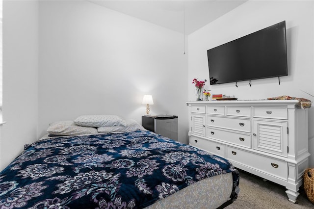 10626 Laguna Plains Dr, Riverview, FL 33578 - bedroom with carpet flooring