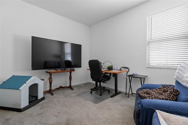 10626 Laguna Plains Dr, Riverview, FL 33578 - office with carpet flooring and baseboards