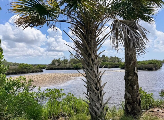 11473 W Sandpiper Ct, Crystal River, FL 34429 - water view