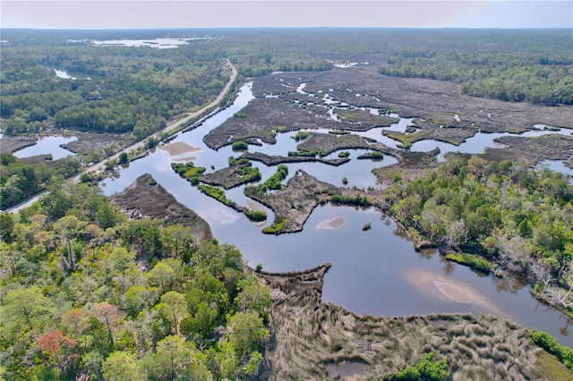 11473 W Sandpiper Ct, Crystal River, FL 34429 - view of property location with a forest and a large body of water