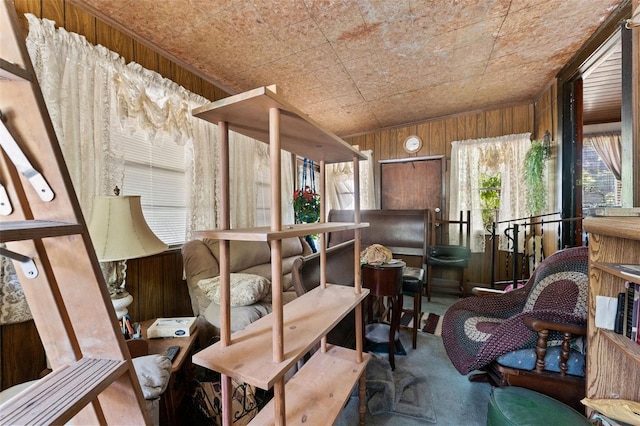 miscellaneous room featuring wooden walls and carpet flooring