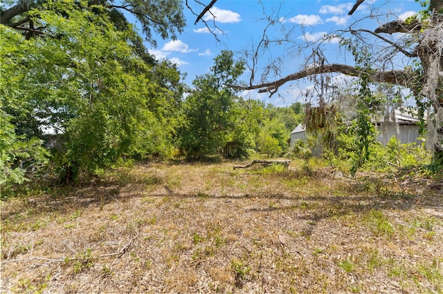 view of nature