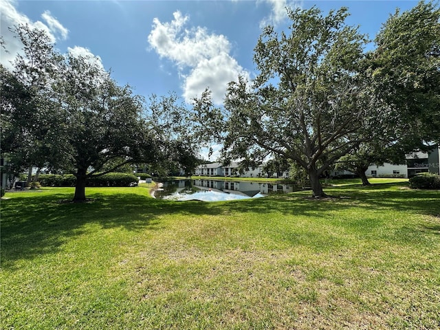 view of yard with a water view
