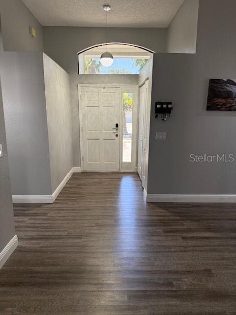 1710 Tallowtree Cir, Valrico, FL 33594 - entryway featuring baseboards, vaulted ceiling, a textured ceiling, and dark wood-type flooring