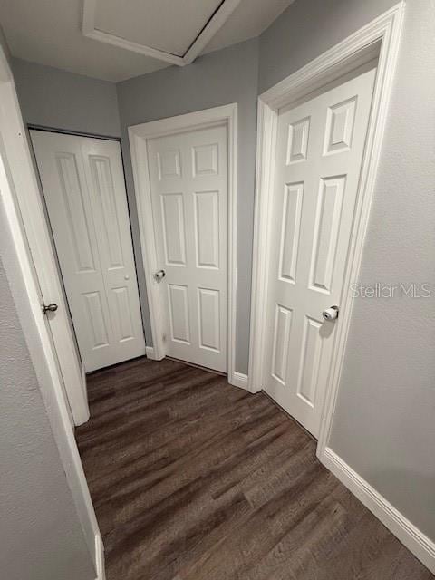 1710 Tallowtree Cir, Valrico, FL 33594 - hallway featuring baseboards and dark wood-style flooring