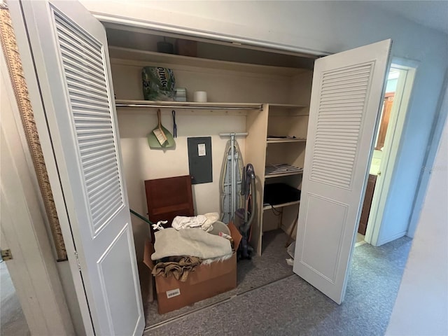 closet featuring electric panel