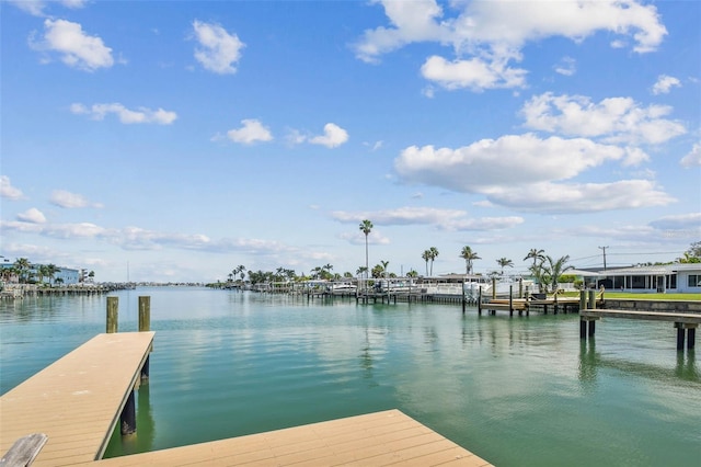 344 Capri Blvd, Treasure Island, FL 33706 - photo 59