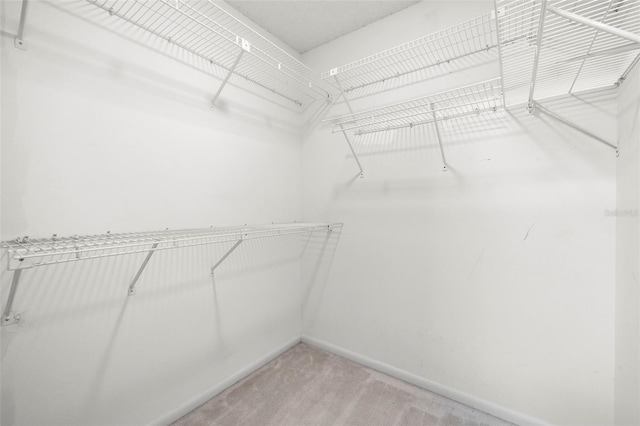 3066 Landmark Blvd Unit 1305, Palm Harbor, FL 34684 - spacious closet with light colored carpet