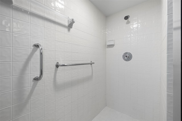3066 Landmark Blvd Unit 1305, Palm Harbor, FL 34684 - full bath featuring tiled shower