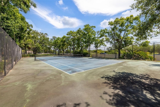 3066 Landmark Blvd Unit 1305, Palm Harbor, FL 34684 - view of tennis court