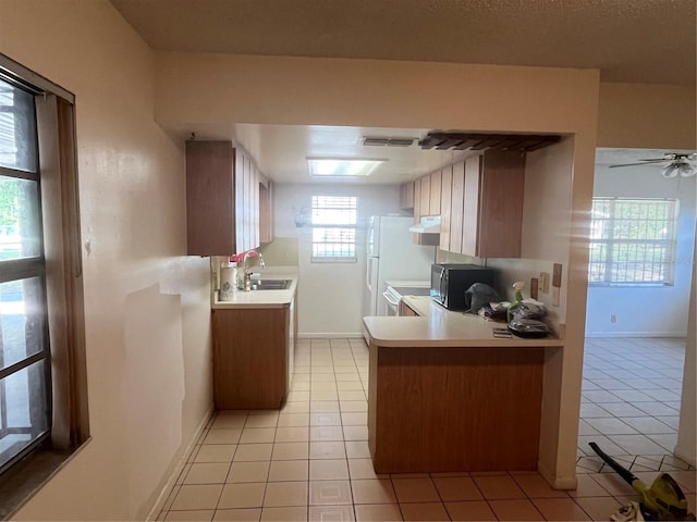 7401 N Albany Ave, Tampa, FL 33604 - photo 4