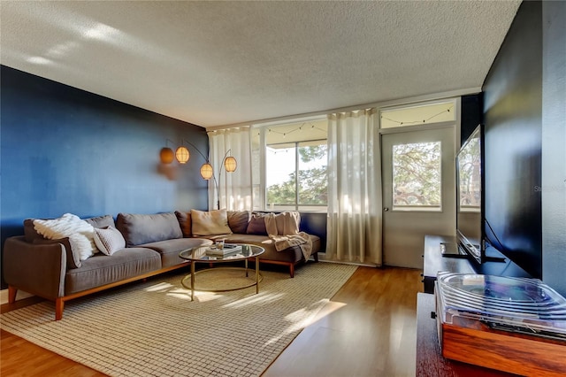 living room with a textured ceiling and wood finished floors