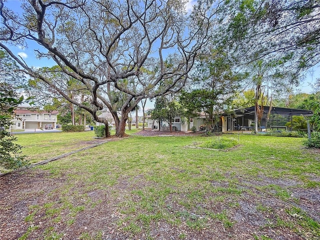 232 Pinecrest Dr, Palm Harbor, FL 34683 - view of green lawn