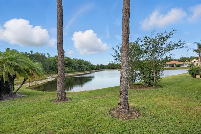 10232 Estuary Dr, Tampa, FL 33647 - photo 3