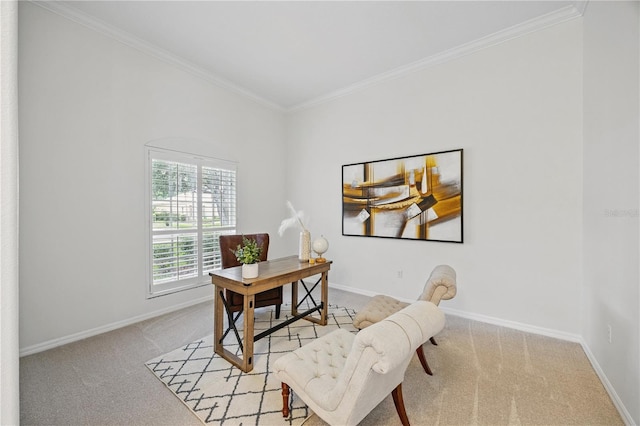 10232 Estuary Dr, Tampa, FL 33647 - photo 15