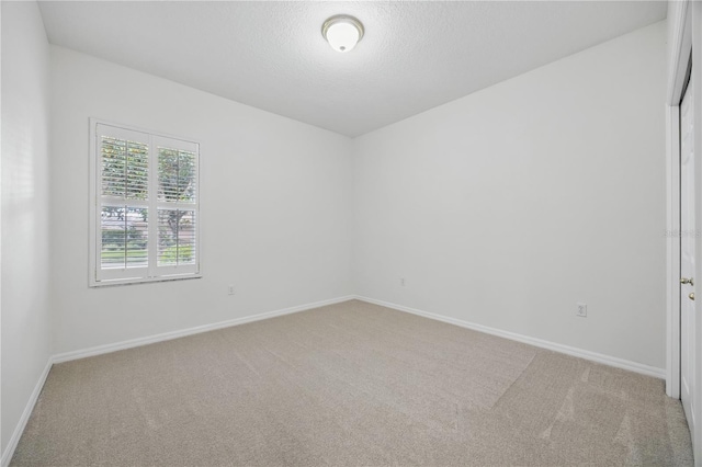 10232 Estuary Dr, Tampa, FL 33647 - photo 22