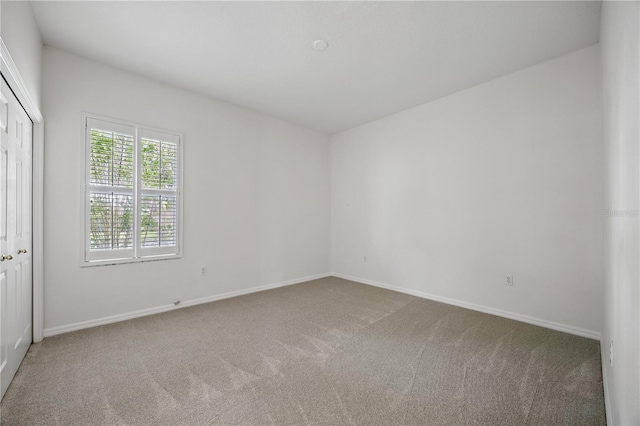 10232 Estuary Dr, Tampa, FL 33647 - photo 24