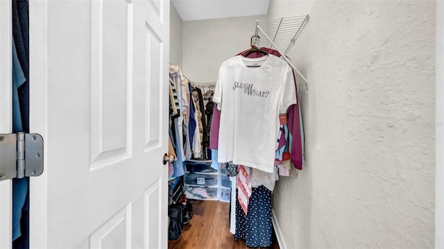 walk in closet featuring wood finished floors