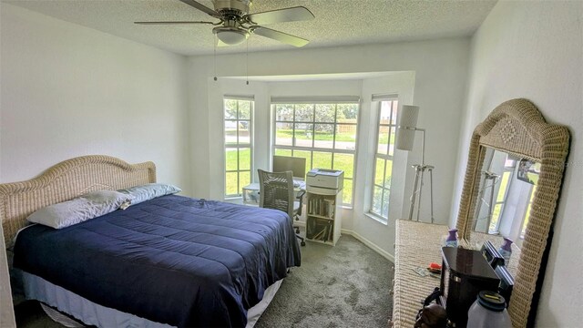 2797 Cordova Way S, Saint Petersburg, FL 33713 - photo 16