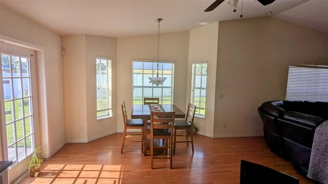 2797 Cordova Way S, Saint Petersburg, FL 33713 - photo 9