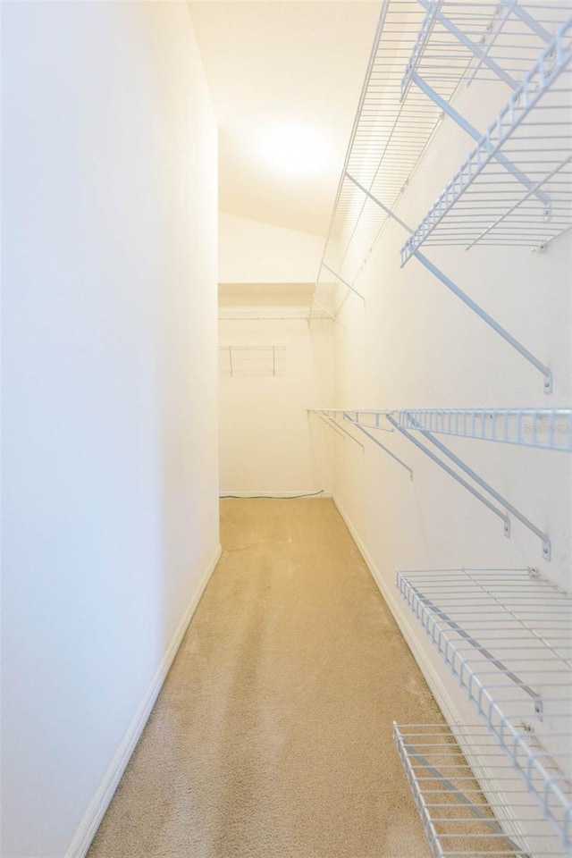 spacious closet with light carpet