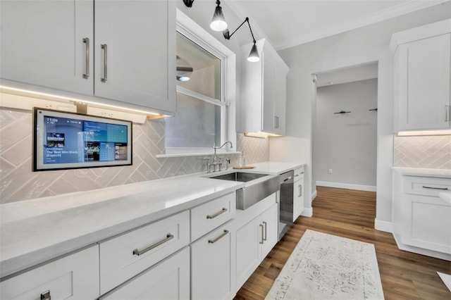 14902 Sweat Loop Rd, Wimauma, FL 33598 - kitchen with dishwasher, tasteful backsplash, white cabinetry, and dark wood finished floors