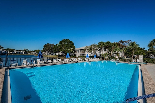 1290 Pine Ridge Cir E Unit G1, Tarpon Springs, FL 34688 - community pool with fence
