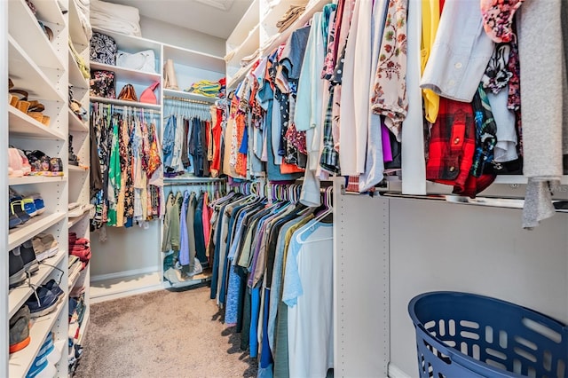 260 SW Lincoln Cir N, Saint Petersburg, FL 33703 - spacious closet featuring carpet flooring