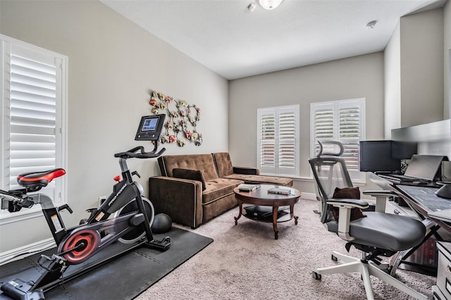 260 SW Lincoln Cir N, Saint Petersburg, FL 33703 - view of carpeted office