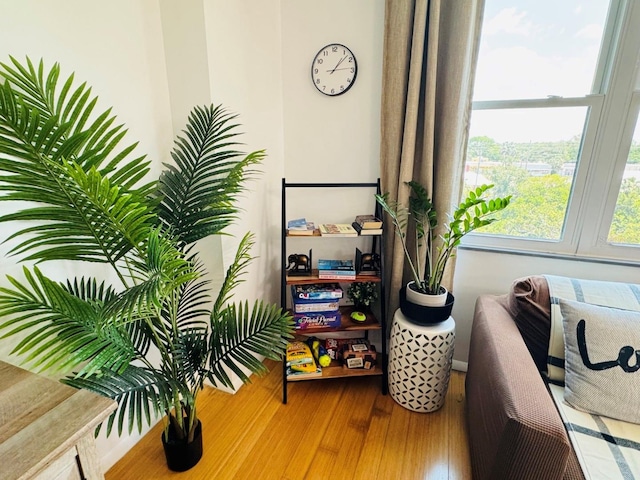 interior details featuring wood finished floors