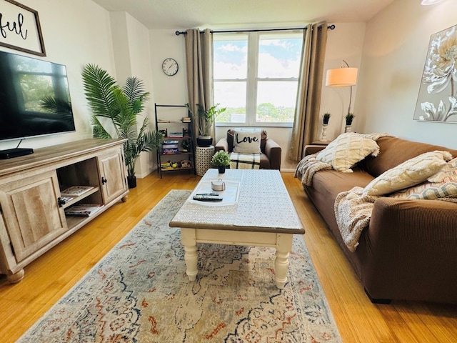 living area with light wood-style floors