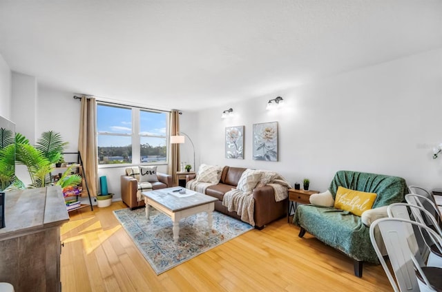 living area with wood finished floors