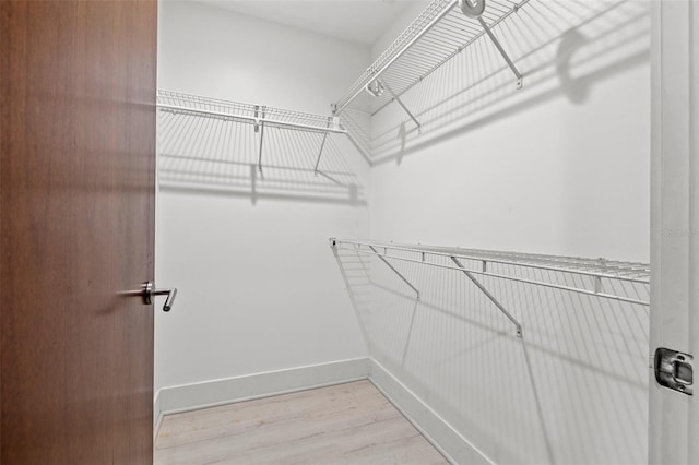 spacious closet with light wood-style floors