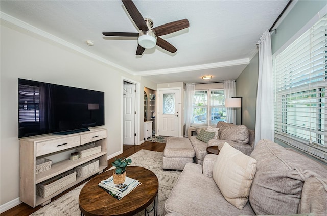451 27th Ave N, Saint Petersburg, FL 33704 - photo 8