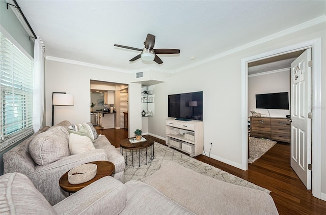 451 27th Ave N, Saint Petersburg, FL 33704 - photo 10
