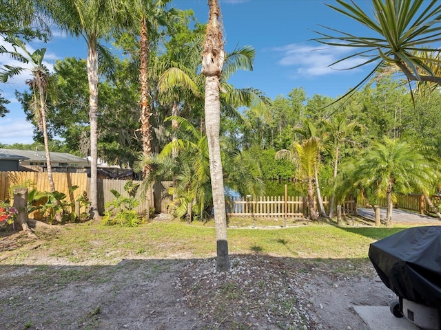 view of yard featuring a fenced backyard